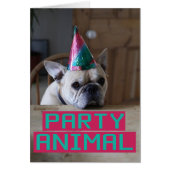 Party animal! (Front)