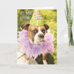 Party Animal Birthday Card at Zazzle