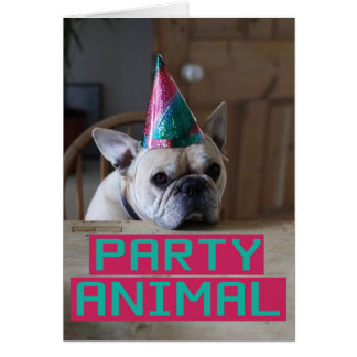 Party animal! cards