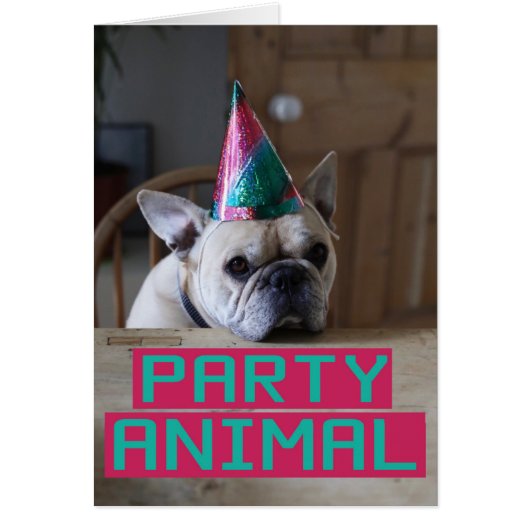 Party animal! cards (Front)