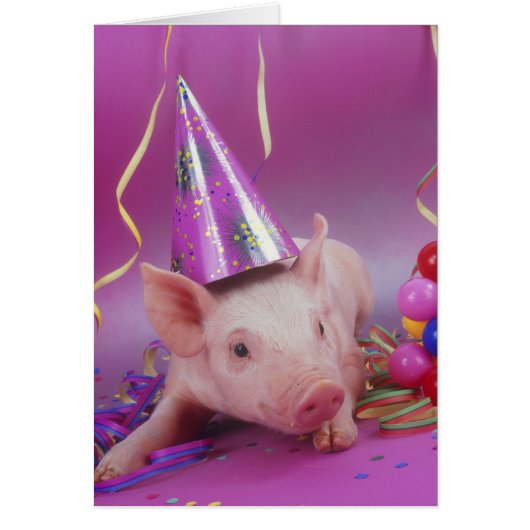 Party animal! cards (Front)