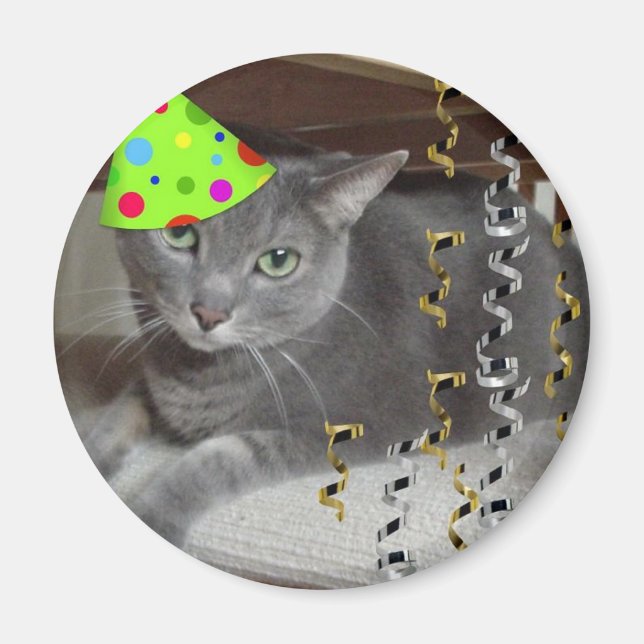 Party Animal Gray Cat Magnet (Front)
