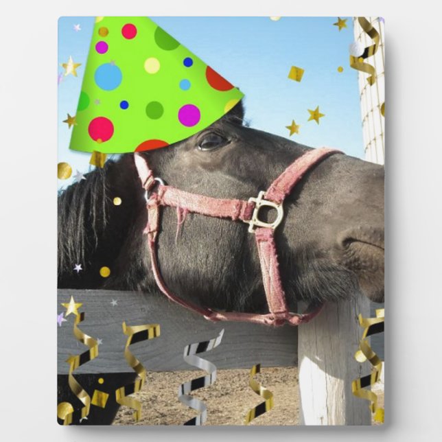 Party Animal Horse Plaque (Front)