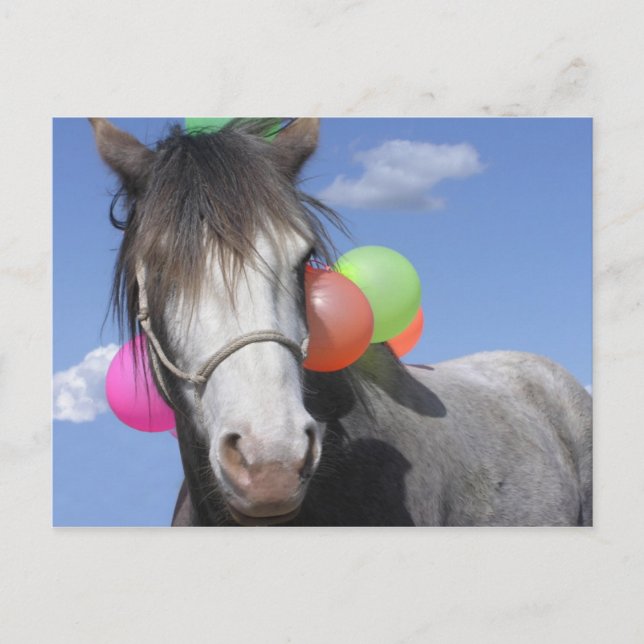 Party Animal Postcard (Front)