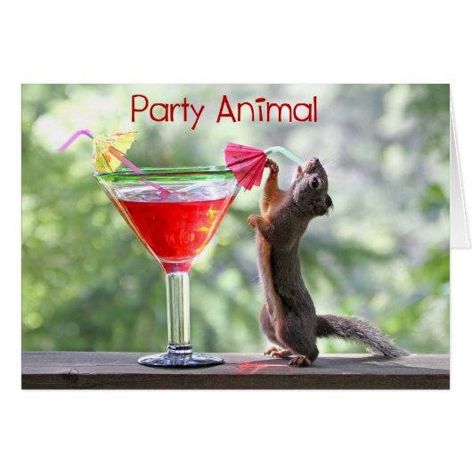 Party Animal Squirrel Cards (Front Horizontal)