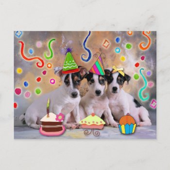 Party  Animals Celebrating Postcard by patrickhoenderkamp at Zazzle