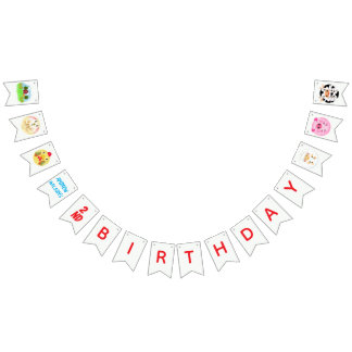 Party Animals Ready to Play Balls Rustic Farm  Bunting Flags