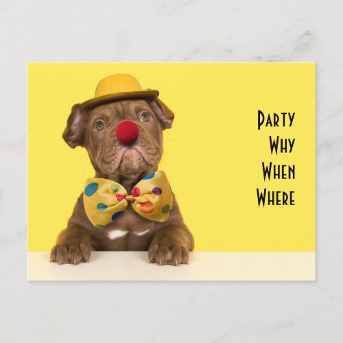 Party Bulldog puppy to announce your party Invitation Postcard