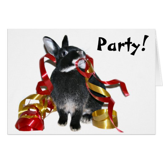 Party bunny cards (Front Horizontal)