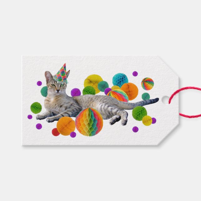Party Cat Gift Tags (Front (Horizontal))