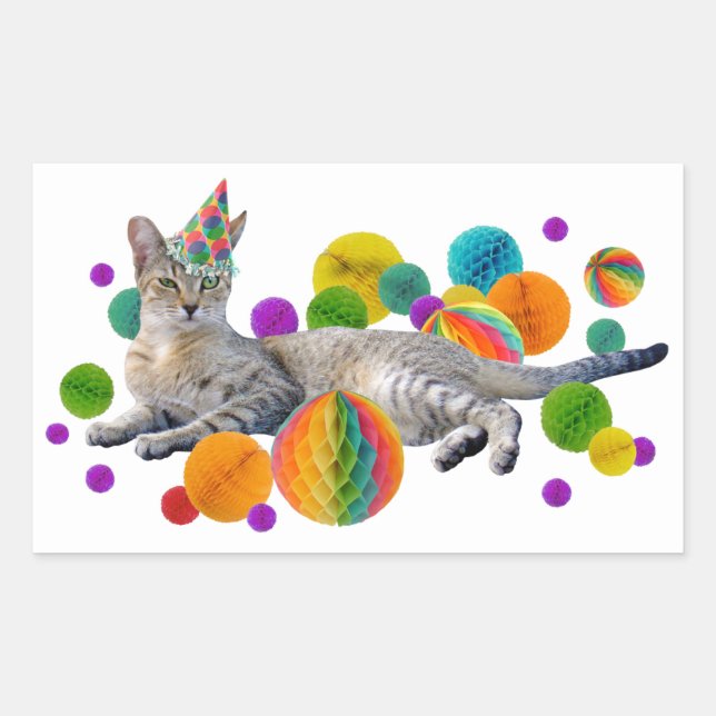 Party Cat Sticker (Front)