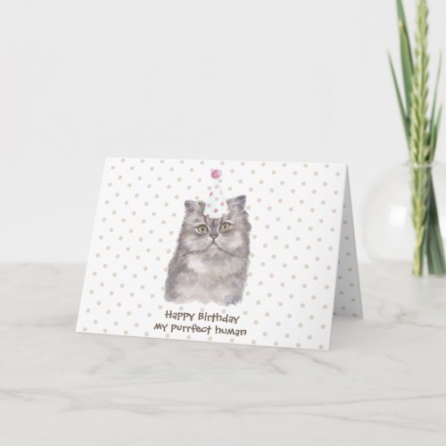 Party celebration Hat Persian Cat Birthday Card