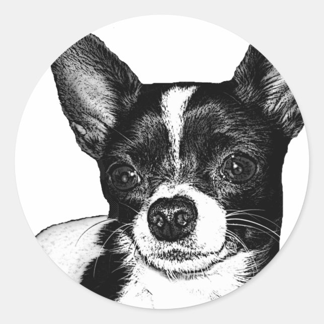 Party Chihuahua Classic Round Sticker (Front)