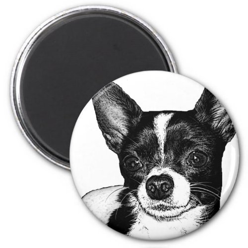 Party Chihuahua Magnet