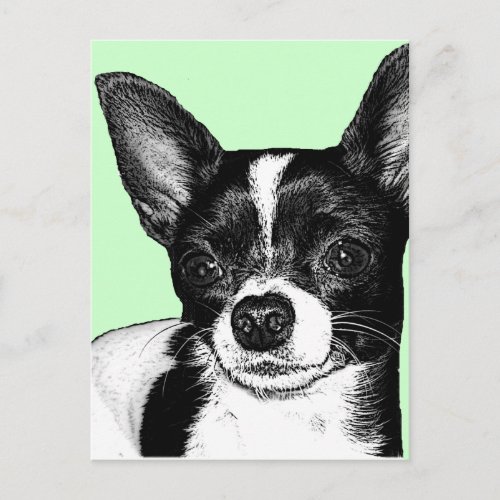 Party Chihuahua Postcard