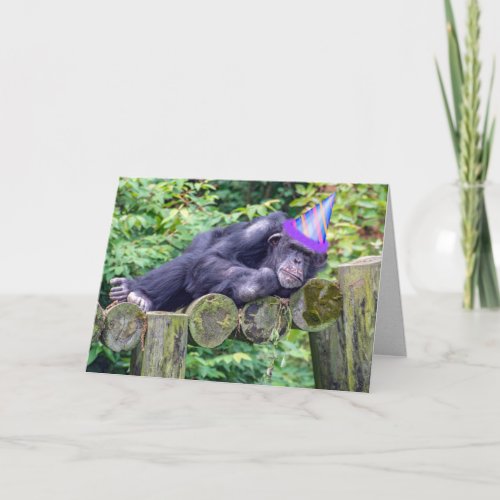 party chimpanzee for humorous birthday card