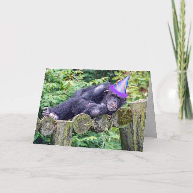 party chimpanzee for humorous birthday card (Front)