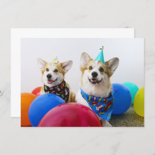 Party Corgis Invitation