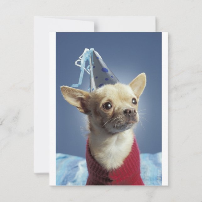 Party Dog Birthday Invitation (Front)