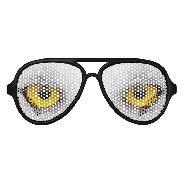 owl party glasses