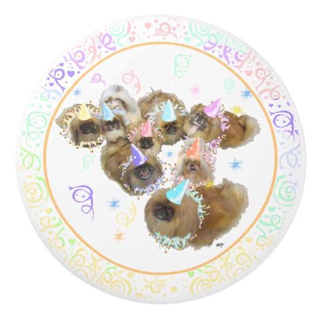 Party Group Ceramic Knob (Front)