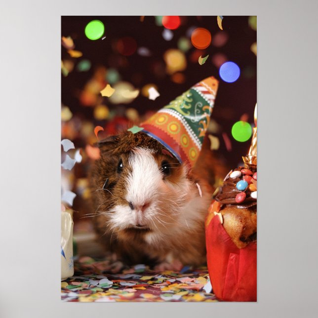 Party Guinea Pig Poster (Front)