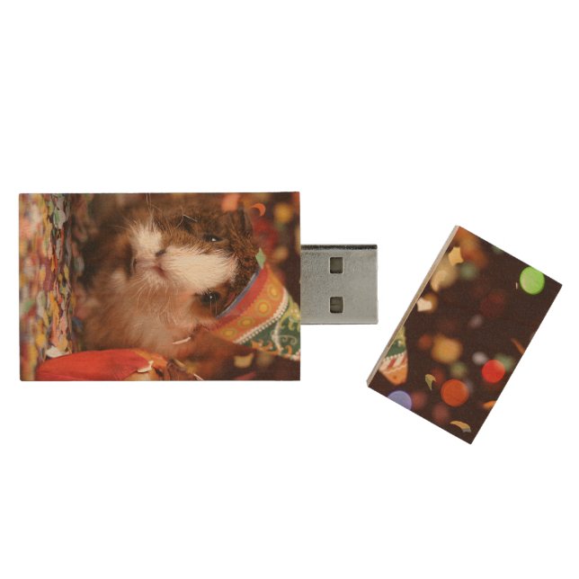 Party Guinea Pig Wood Flash Drive (Opened)