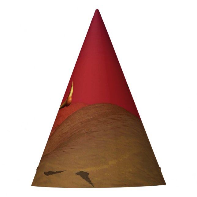 Party Hat (Front)