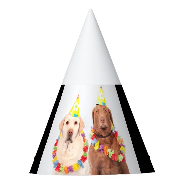 Party hat, for sale ! hat (Front)