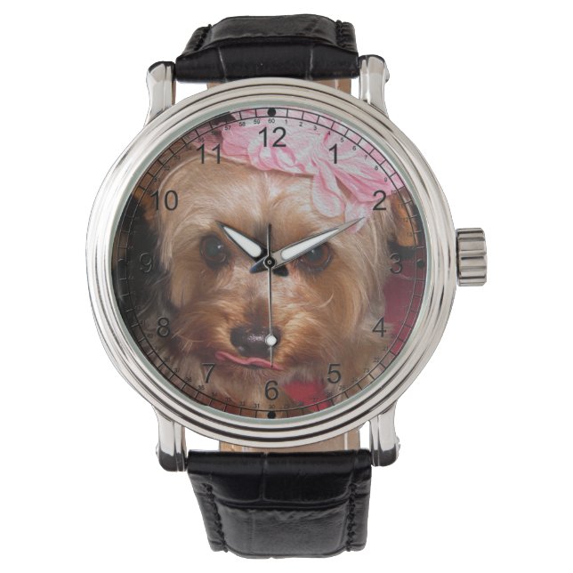 Party Hat Yorkie Watch (Front)