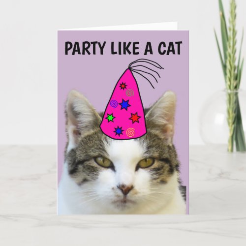 PARTY LIKE A CAT FUNNY BIRTHDAY CARDS