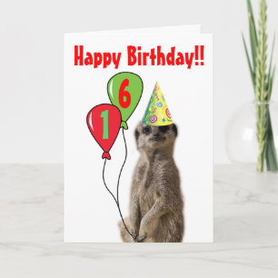 Party Like a Meerkat Birthday Card