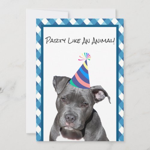 Party Like An Animal Black Dog With Hat Birthday Invitation