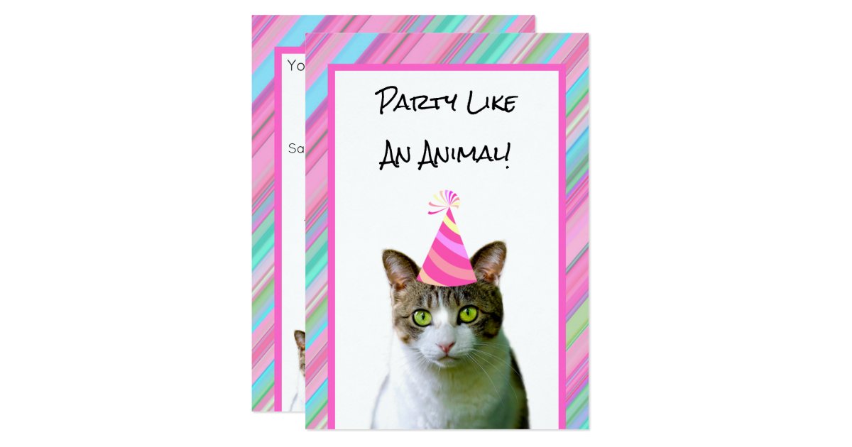 Party Like An Animal Cat With Party Hat Birthday Invitation