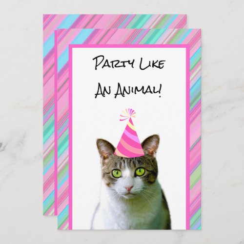 Party Like An Animal Cat With Party Hat Birthday Invitation