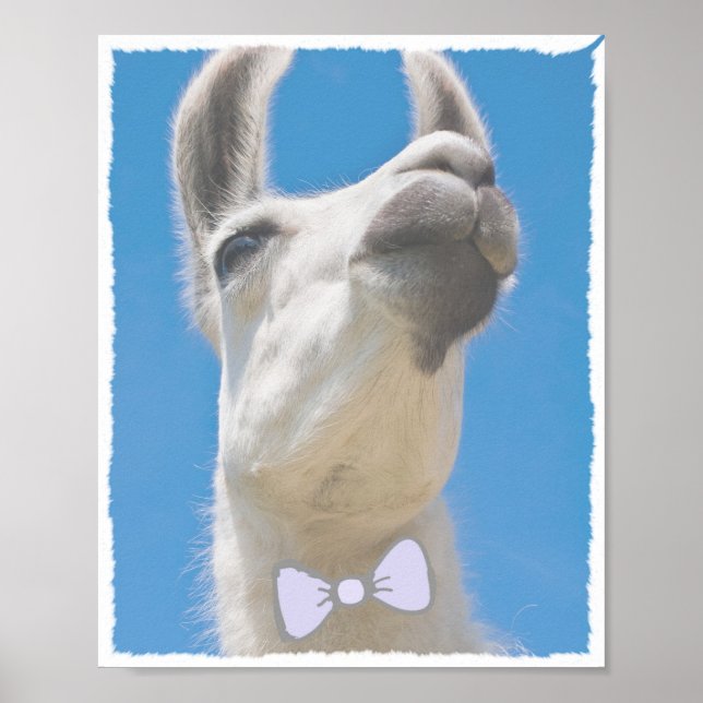 Party Llama with a Bow Tie Poster (Front)
