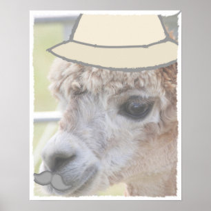 Party Llama with a mustache Poster