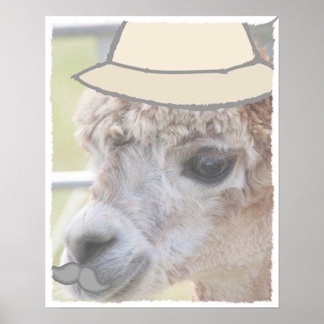 Party Llama with a mustache Poster (Front)