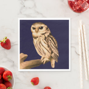 Party napkins wild birds nature Owl