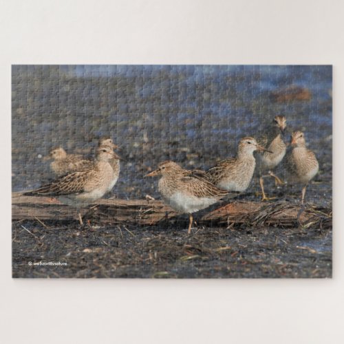 Party of Pectoral Sandpipers on the Beach Jigsaw Puzzle