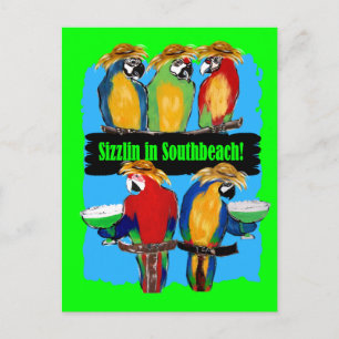PARTY PARROTS INVITATION POSTCARD