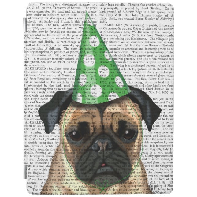 Party Pug 2 iPad Air Cover (Front)