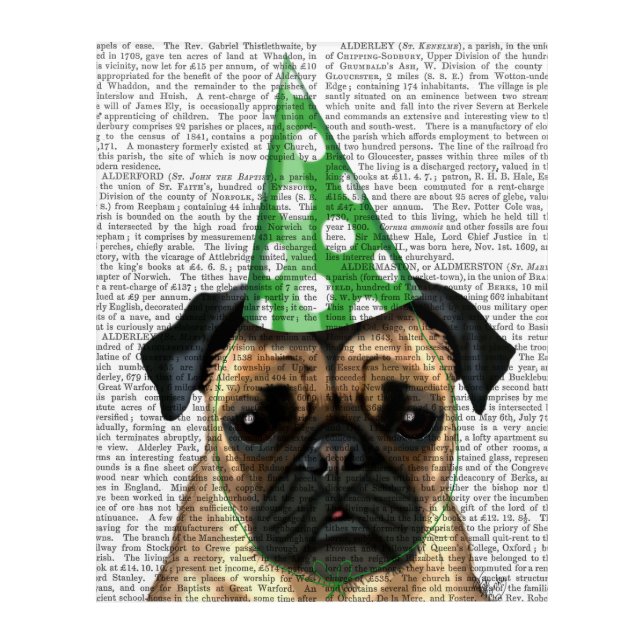 Party Pug Acrylic Print (Front)
