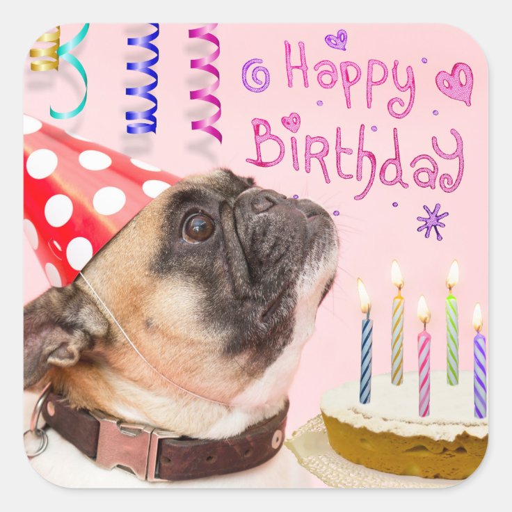 Party Pug and Birthday Cake Square Sticker | Zazzle