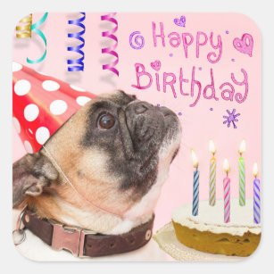 Party Pug and Birthday Cake Square Sticker