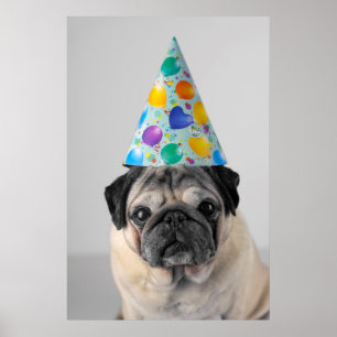 Party Pug Poster