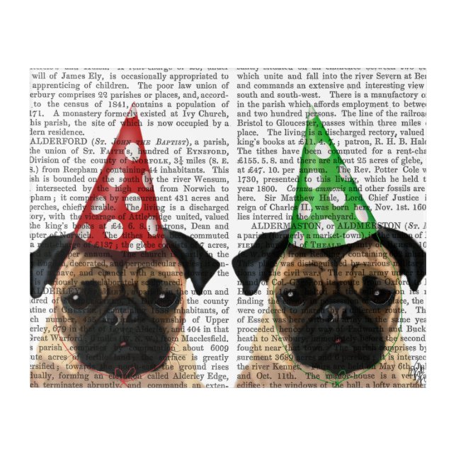 Party Pugs Pair Acrylic Print (Front)