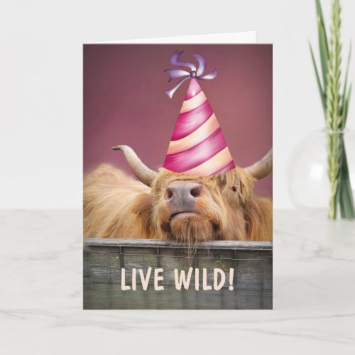 Party Steer Live Wild Birthday  Card