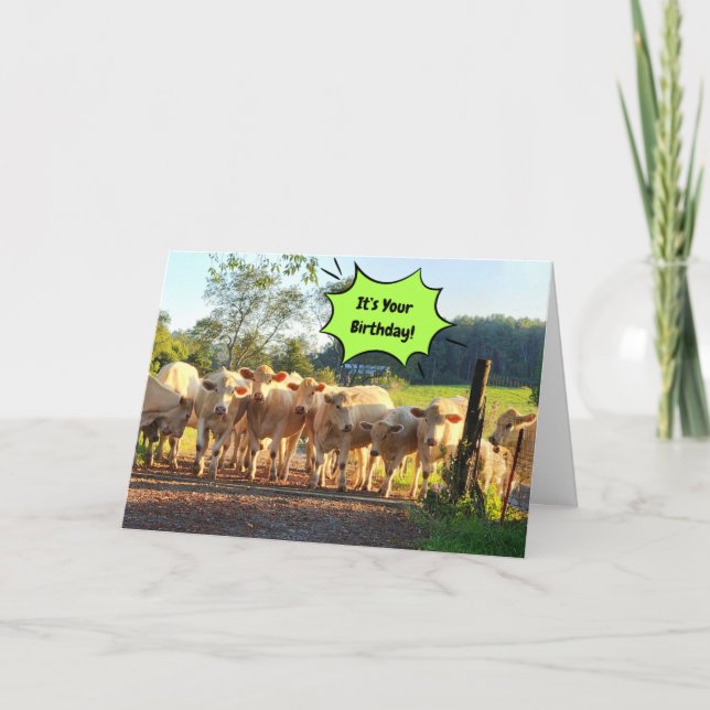Party Til The Cows Come Home Birthday Card (Front)