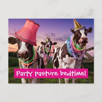 Party 'til The Cows Come Home Invitation Postcard by AvantiPress at Zazzle